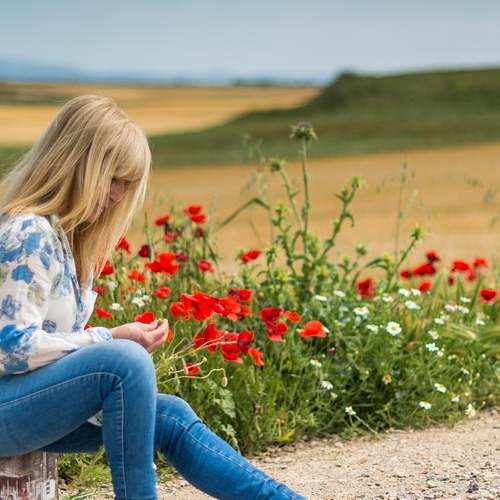 대통령 선거 공정선거지원단 알바: 알짜 정보 총정리