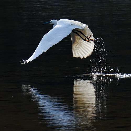 바이비트 신규가입 시 IP 코인 에어드랍 혜택은 놓치지 마세요! 바이비트 신규가입 시 IP 코인 에어드랍 혜택은 놓치지 마세요!