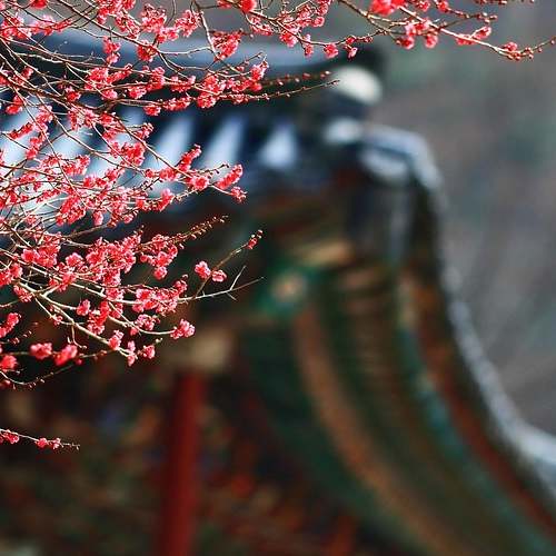 PC에서 틱톡 동영상을 손쉽게 다운로드 받는 방법 PC에서 틱톡 동영상을 손쉽게 다운로드 받는 방법