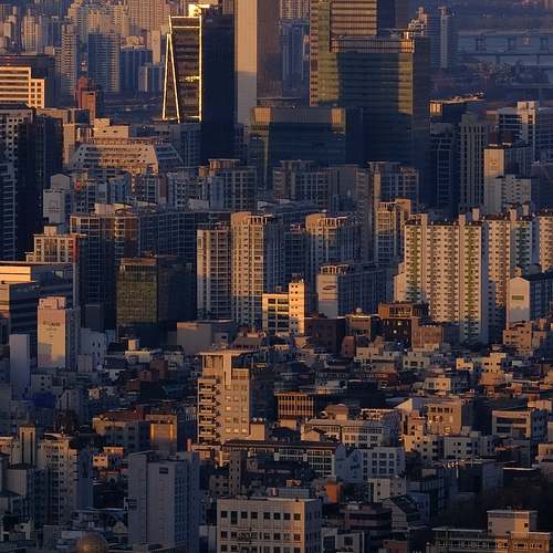 사이버국방학과: 나의 미래를 지킬 수 있는 고품격 전공 선택 사이버국방학과: 나의 미래를 지킬 수 있는 고품격 전공 선택