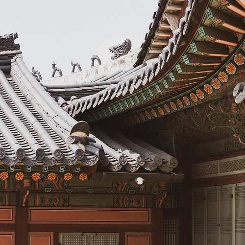 아로나민 골드와 프리미엄: 당신에게 맞는 제품은 무엇일까? 아로나민 골드와 프리미엄: 당신에게 맞는 제품은 무엇일까?