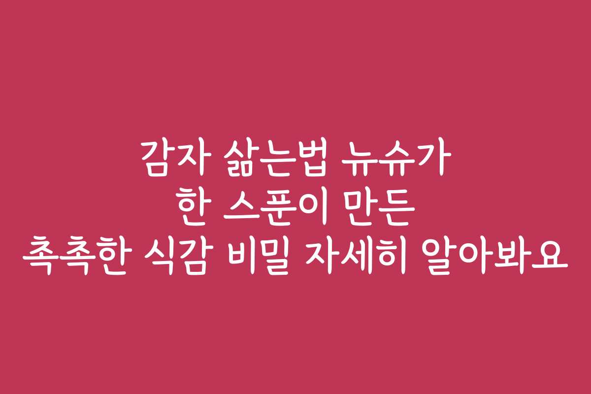 감자 삶는법 뉴슈가 한 스푼이 만든 촉촉한 식감 비밀 자세히 알아봐요