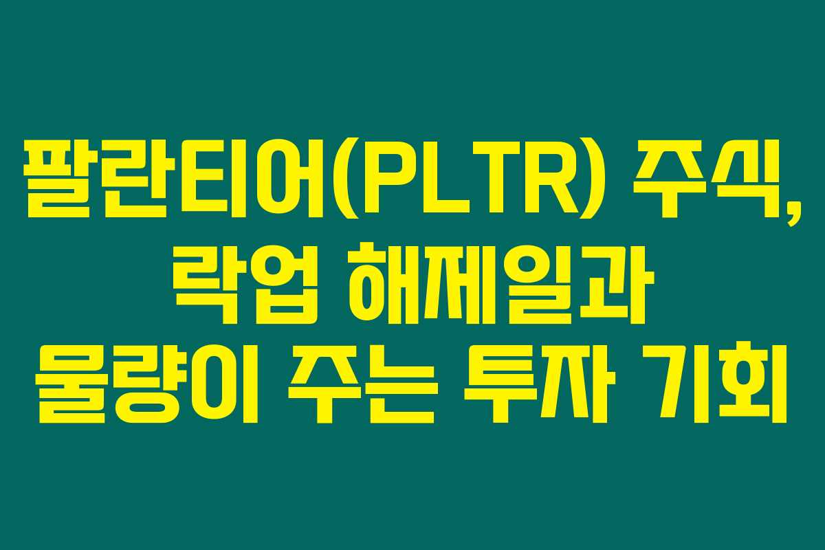 팔란티어(PLTR) 주식, 락업 해제일과 물량이 주는 투자 기회 팔란티어(PLTR) 주식, 락업 해제일과 물량이 주는 투자 기회