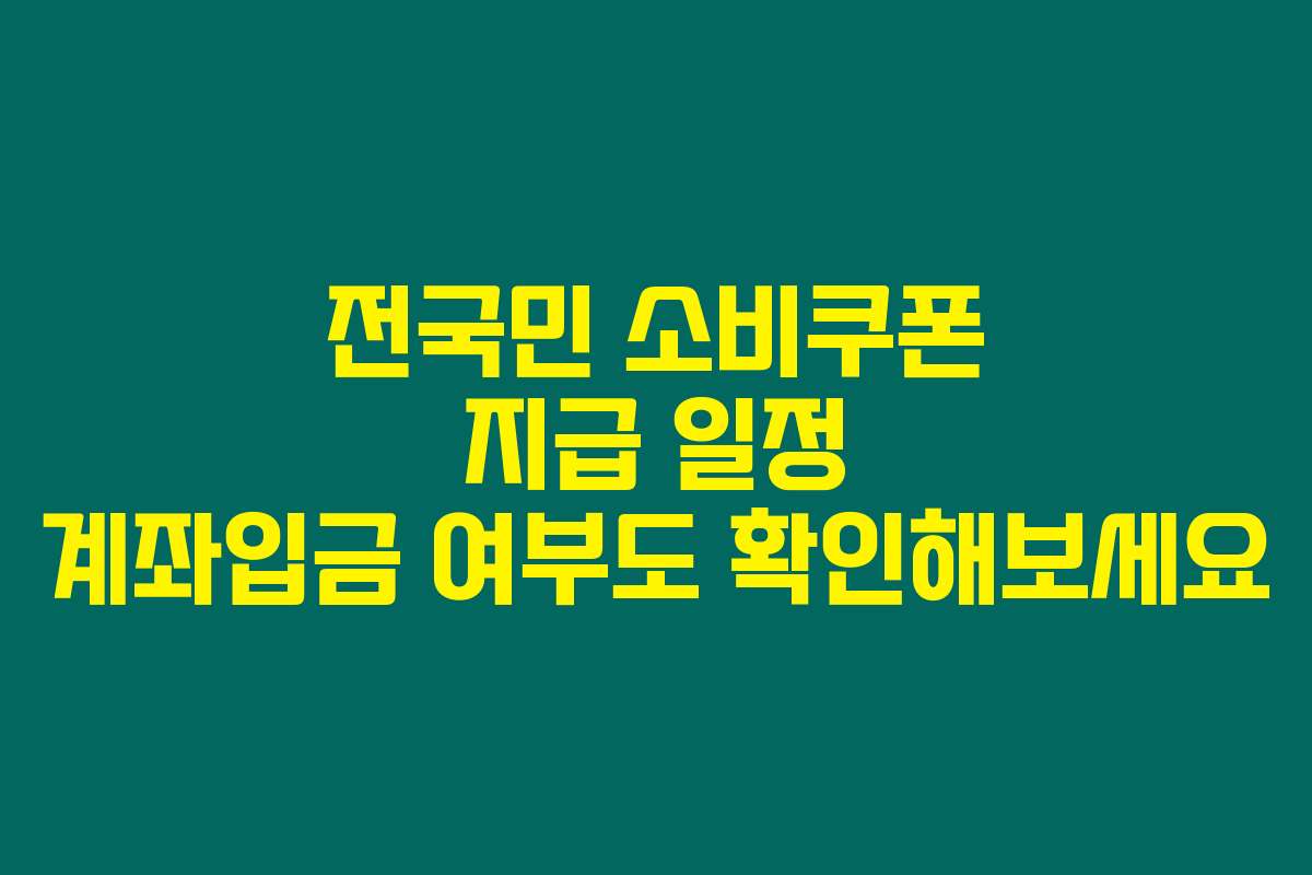 전국민 소비쿠폰 지급 일정 계좌입금 여부도 확인해보세요
