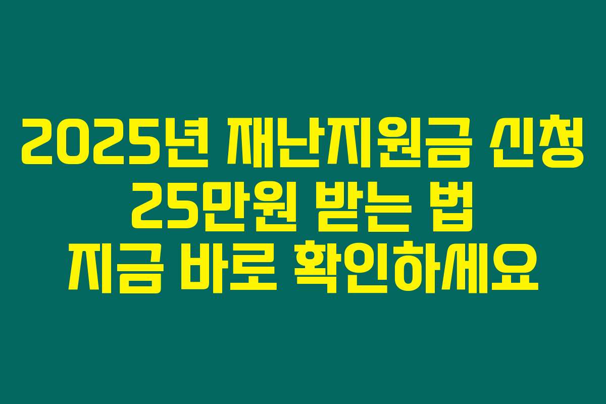 2025년 재난지원금 신청 25만원 받는 법 지금 바로 확인하세요