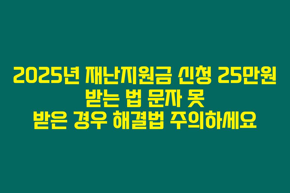 2025년 재난지원금 신청 25만원 받는 법 문자 못 받은 경우 해결법 주의하세요
