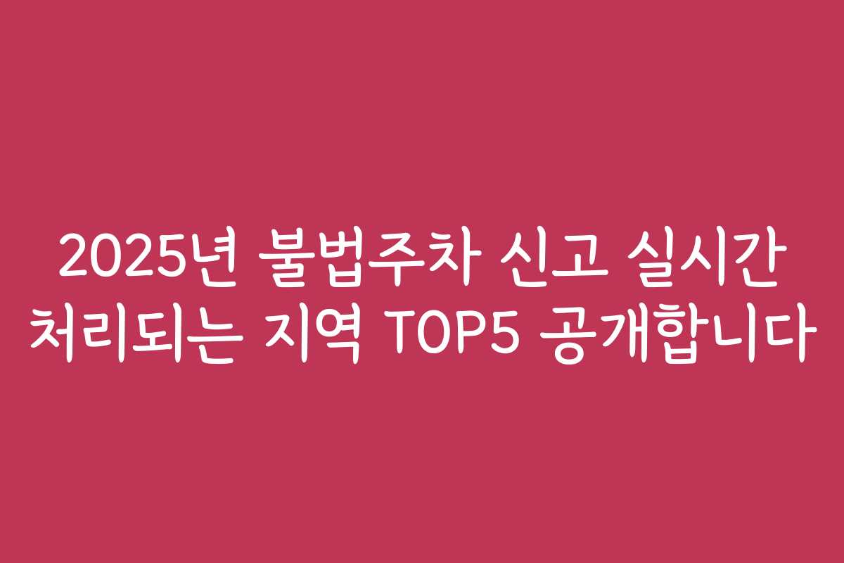 2025년 불법주차 신고 실시간 처리되는 지역 TOP5 공개합니다