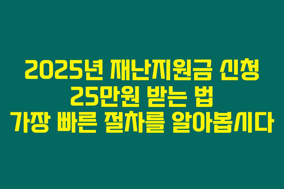 2025년 재난지원금 신청 25만원 받는 법 가장 빠른 절차를 알아봅시다