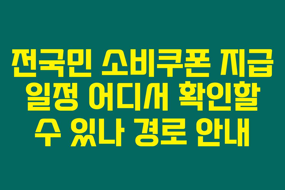 전국민 소비쿠폰 지급 일정 어디서 확인할 수 있나 경로 안내