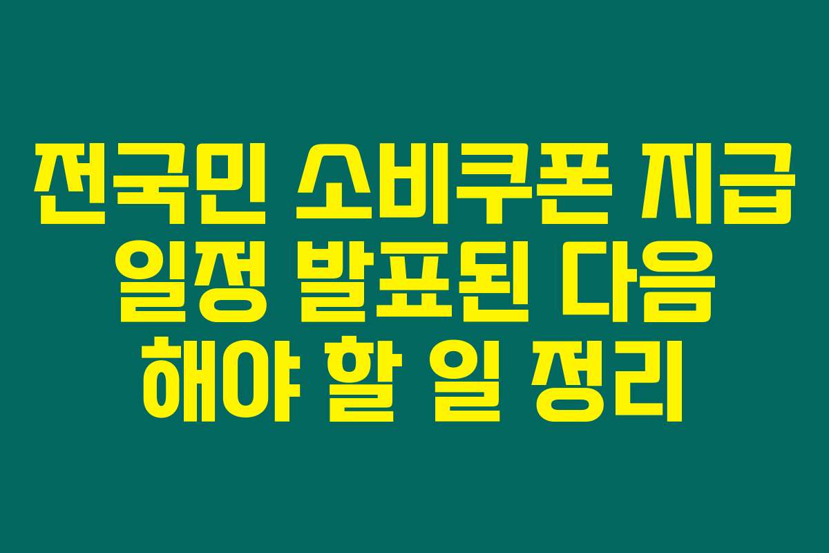 전국민 소비쿠폰 지급 일정 발표된 다음 해야 할 일 정리