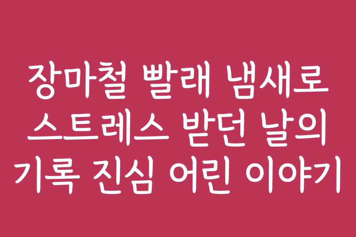 장마철 빨래 냄새로 스트레스 받던 날의 기록 진심 어린 이야기
