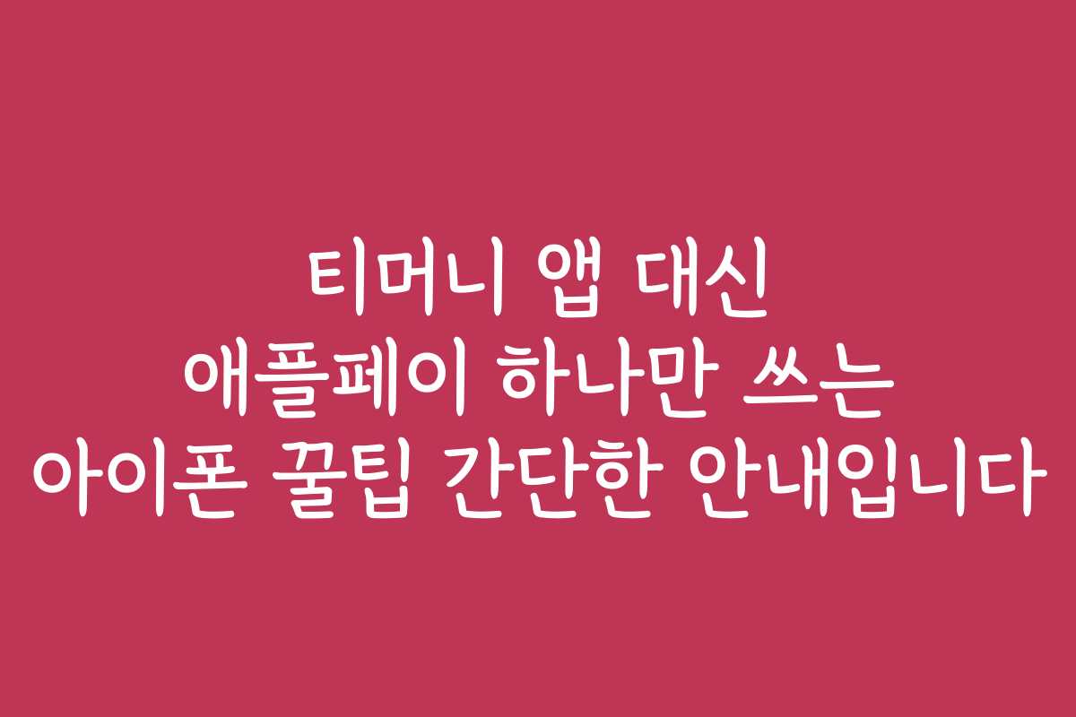 티머니 앱 대신 애플페이 하나만 쓰는 아이폰 꿀팁 간단한 안내입니다