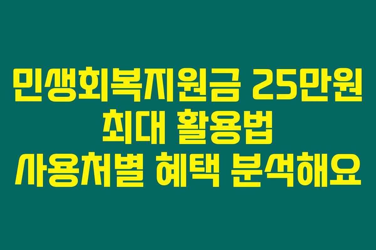 민생회복지원금 25만원 최대 활용법 사용처별 혜택 분석해요 민생회복지원금 25만원 최대 활용법 사용처별 혜택 분석해요