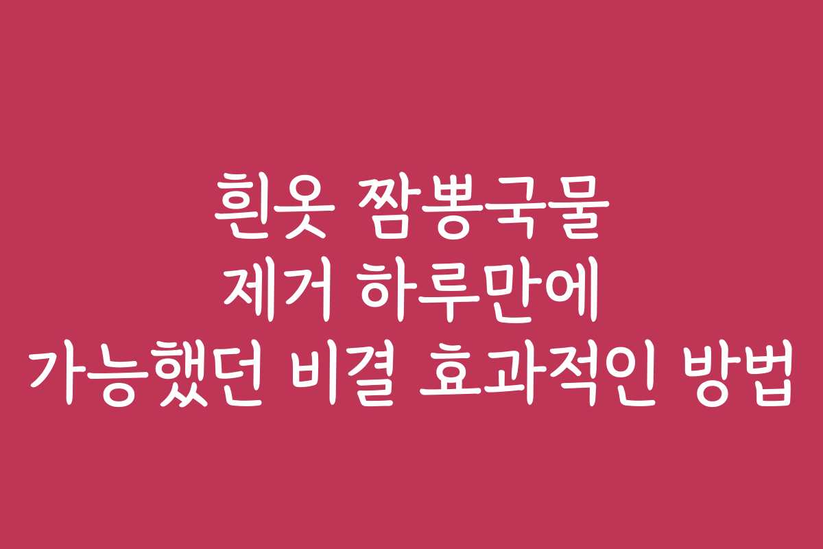흰옷 짬뽕국물 제거 하루만에 가능했던 비결 효과적인 방법
