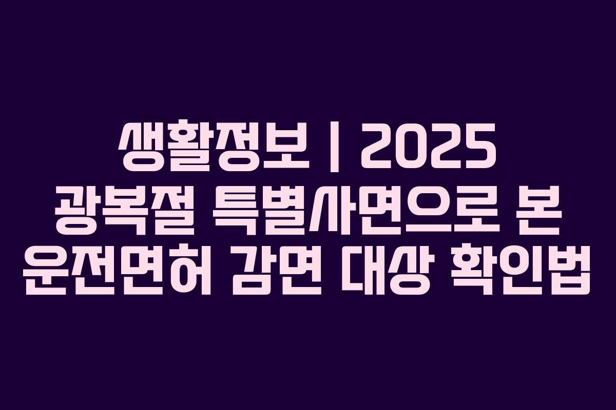 생활정보 | 2025 광복절 특별사면으로 본 운전면허 감면 대상 확인법