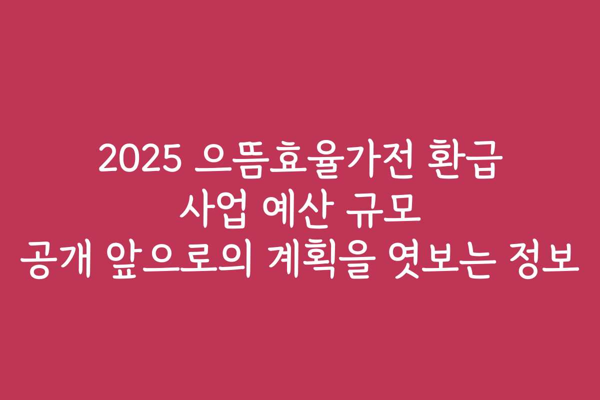 2025 으뜸효율가전 환급 사업 예산 규모 공개 앞으로의 계획을 엿보는 정보