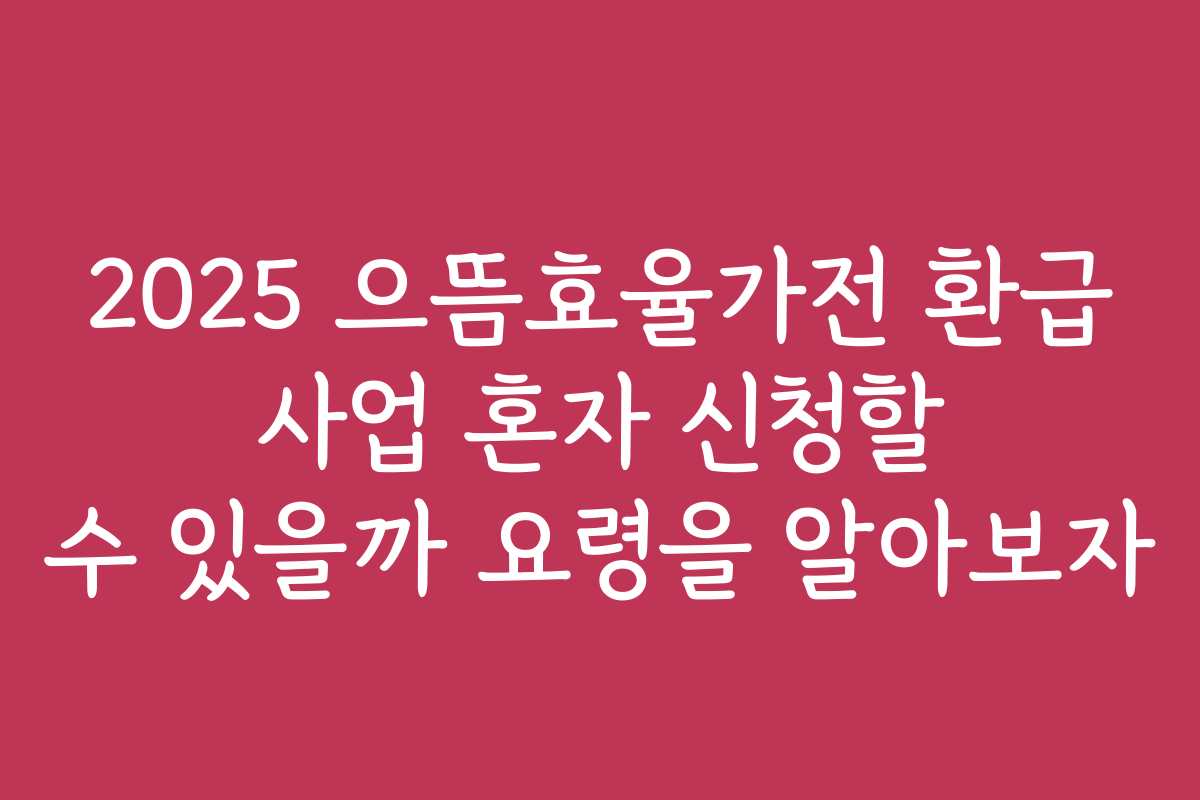2025 으뜸효율가전 환급 사업 혼자 신청할 수 있을까 요령을 알아보자