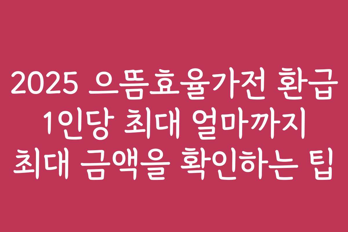 2025 으뜸효율가전 환급 1인당 최대 얼마까지 최대 금액을 확인하는 팁