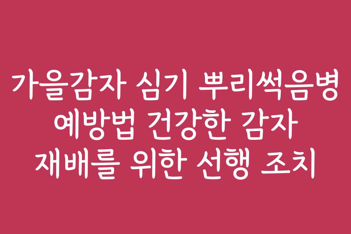 가을감자 심기 뿌리썩음병 예방법 건강한 감자 재배를 위한 선행 조치