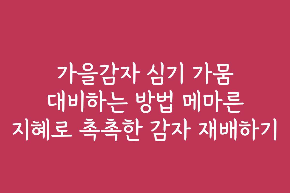 가을감자 심기 가뭄 대비하는 방법 메마른 지혜로 촉촉한 감자 재배하기