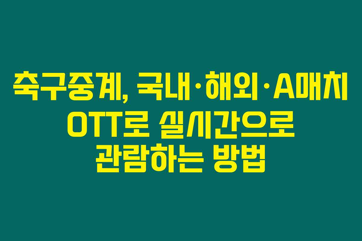 축구중계, 국내·해외·A매치 OTT로 실시간으로 관람하는 방법 축구중계, 국내·해외·A매치 OTT로 실시간으로 관람하는 방법