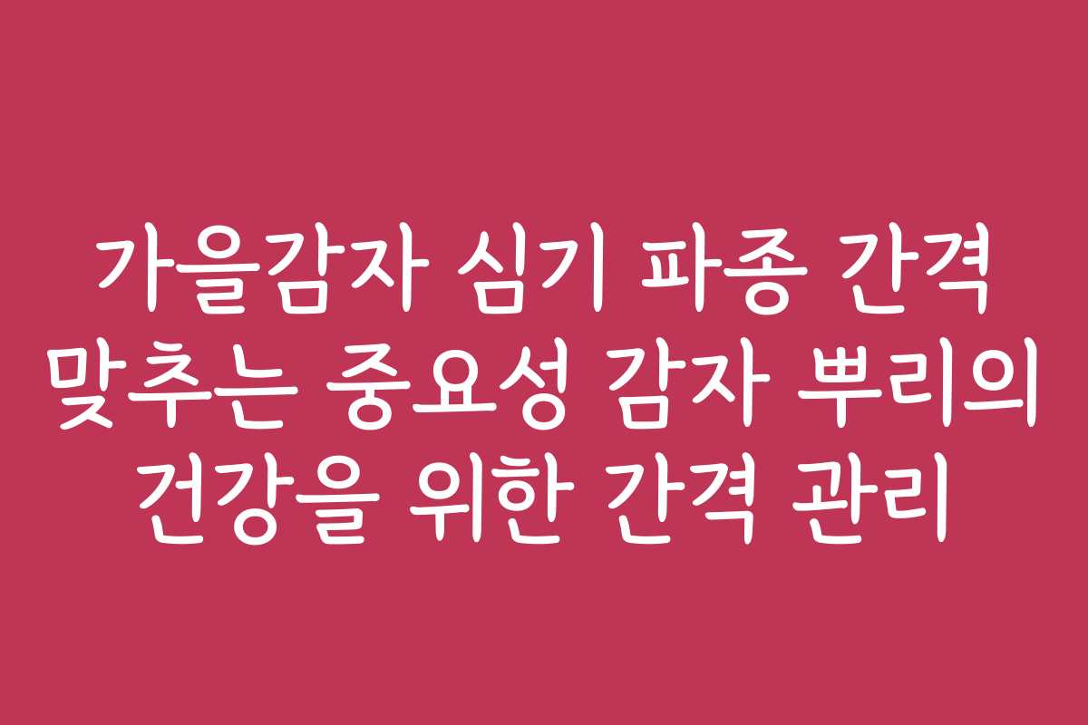 가을감자 심기 파종 간격 맞추는 중요성 감자 뿌리의 건강을 위한 간격 관리