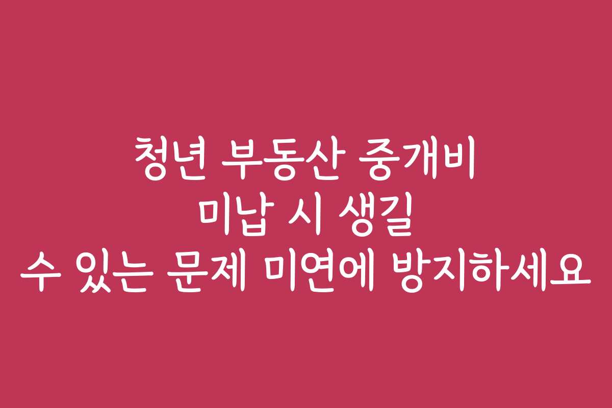 청년 부동산 중개비 미납 시 생길 수 있는 문제 미연에 방지하세요