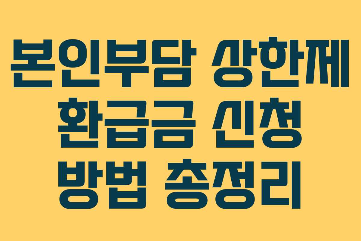 본인부담 상한제 환급금 신청 방법 총정리