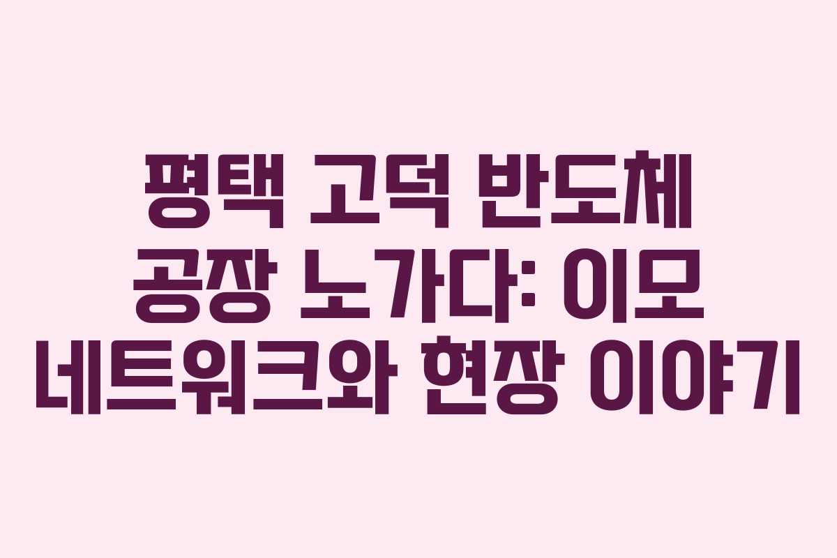 평택 고덕 반도체 공장 노가다: 이모 네트워크와 현장 이야기