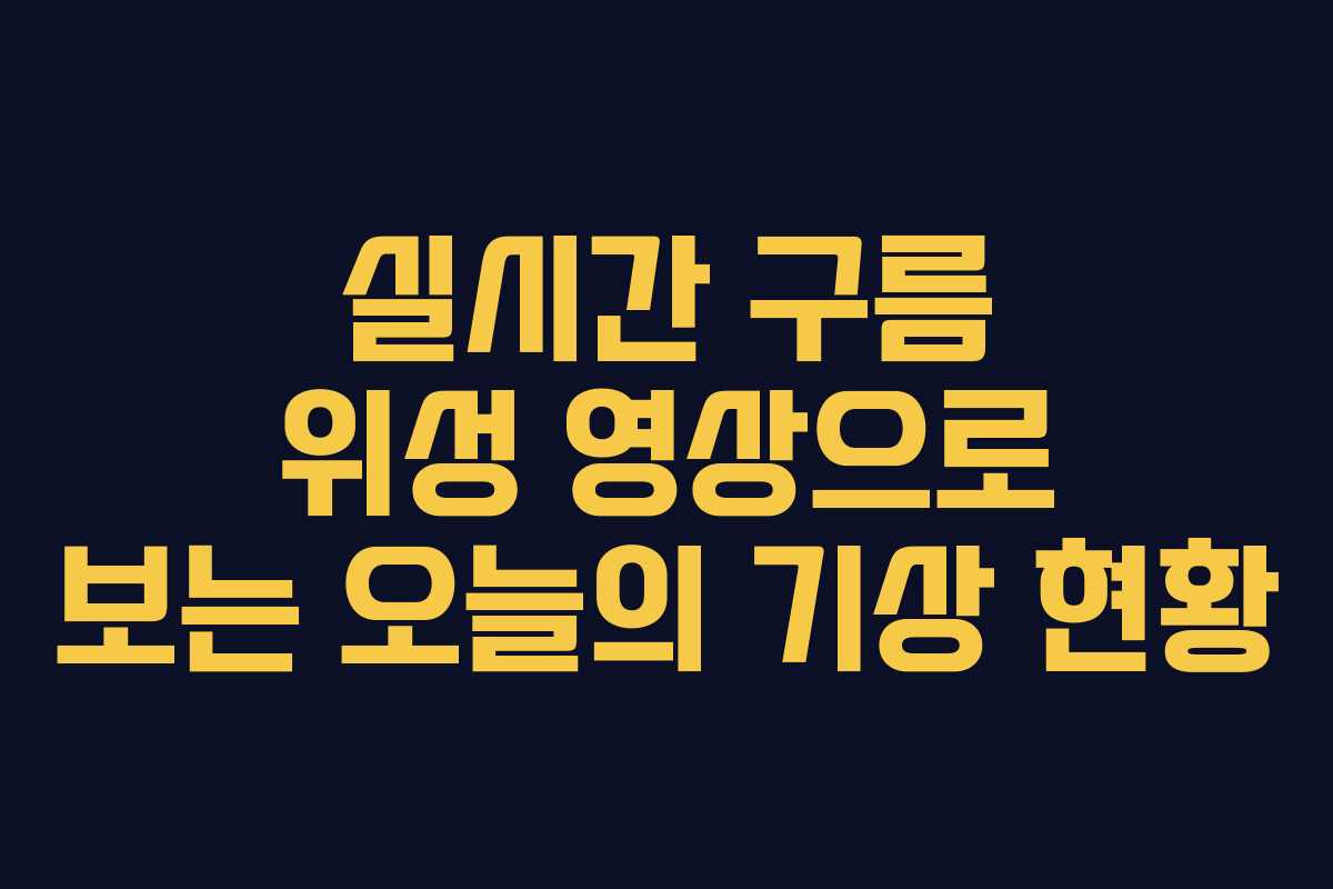 실시간 구름 위성 영상으로 보는 오늘의 기상 현황
