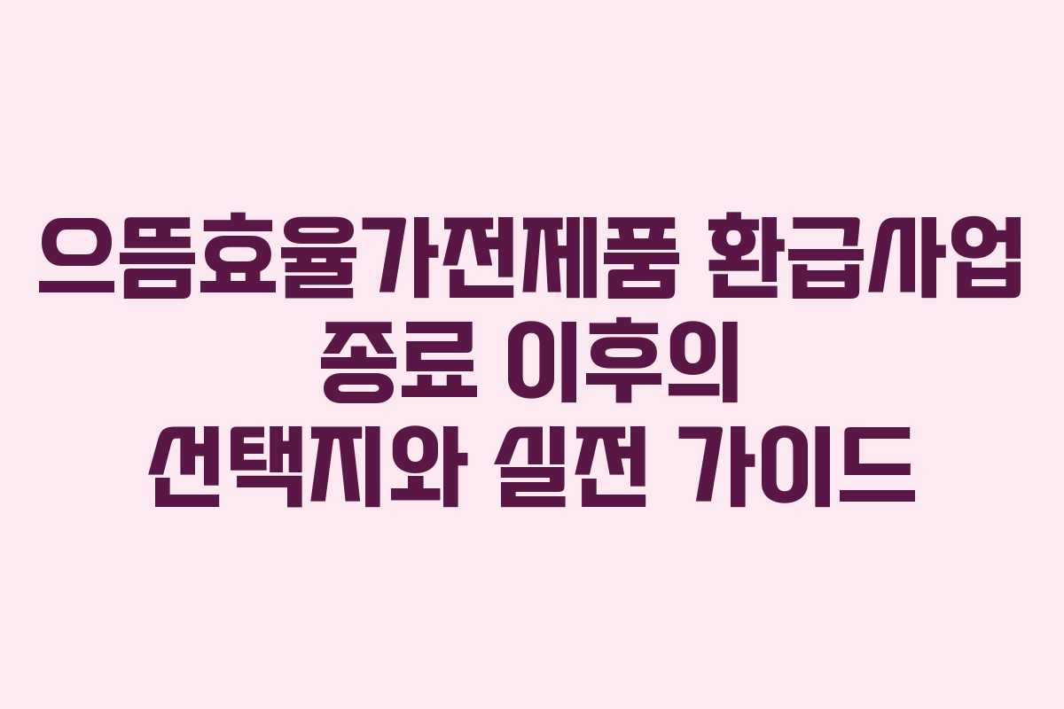 으뜸효율가전제품 환급사업 종료 이후의 선택지와 실전 가이드