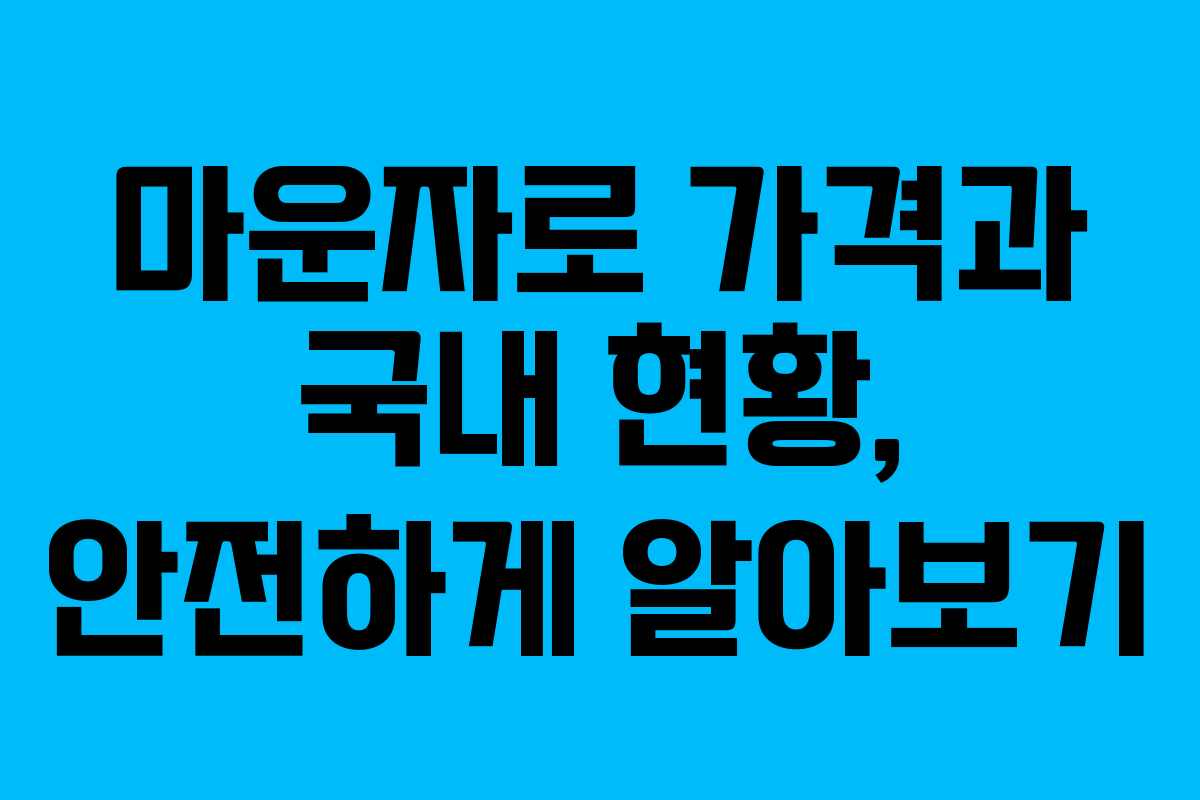 마운자로 가격과 국내 현황, 안전하게 알아보기