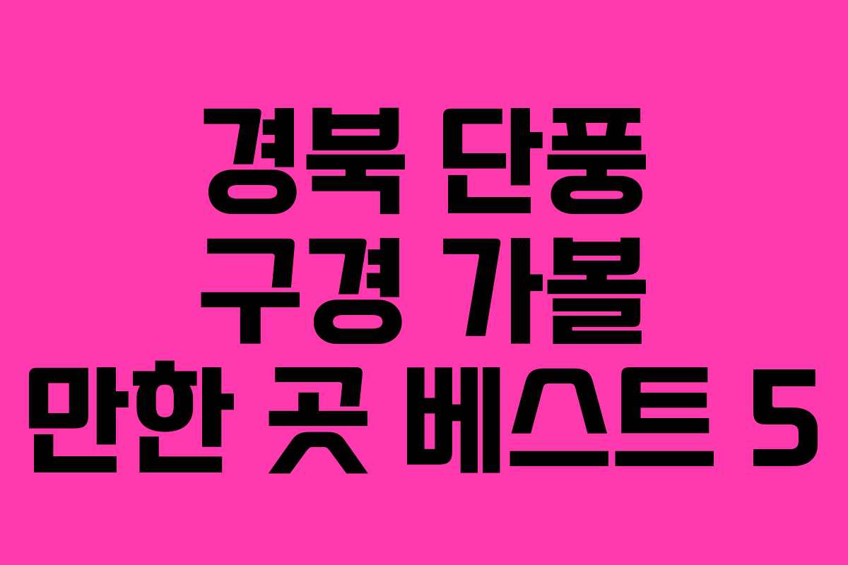 경북 단풍 구경 가볼 만한 곳 베스트 5