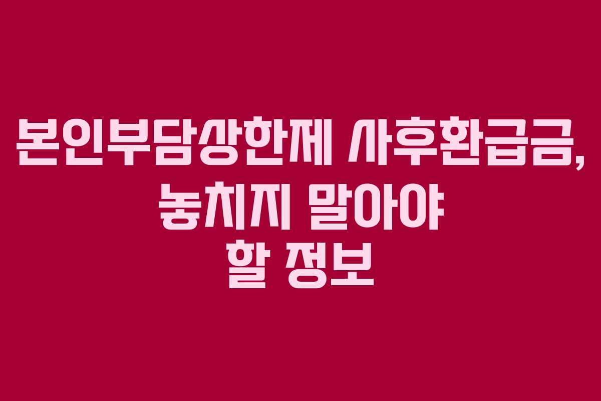 본인부담상한제 사후환급금, 놓치지 말아야 할 정보 본인부담상한제 사후환급금, 놓치지 말아야 할 정보