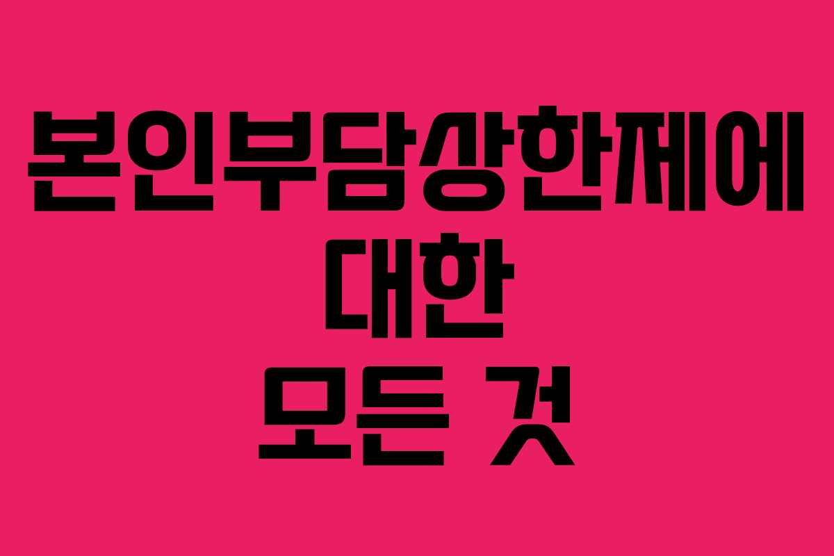 본인부담상한제에 대한 모든 것 본인부담상한제에 대한 모든 것