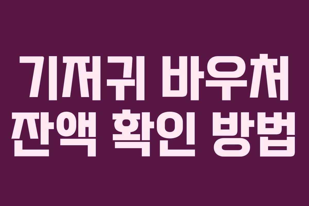 기저귀 바우처 잔액 확인 방법 기저귀 바우처 잔액 확인 방법