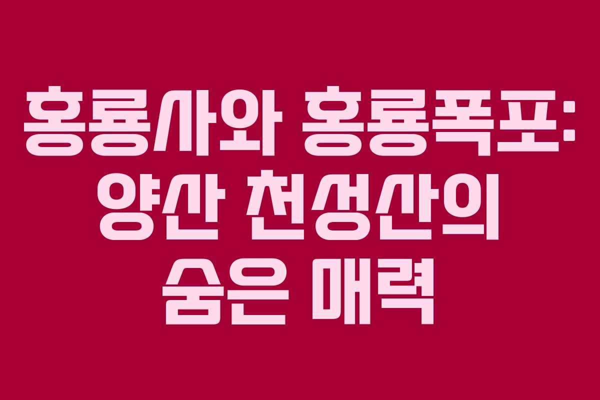 홍룡사와 홍룡폭포: 양산 천성산의 숨은 매력