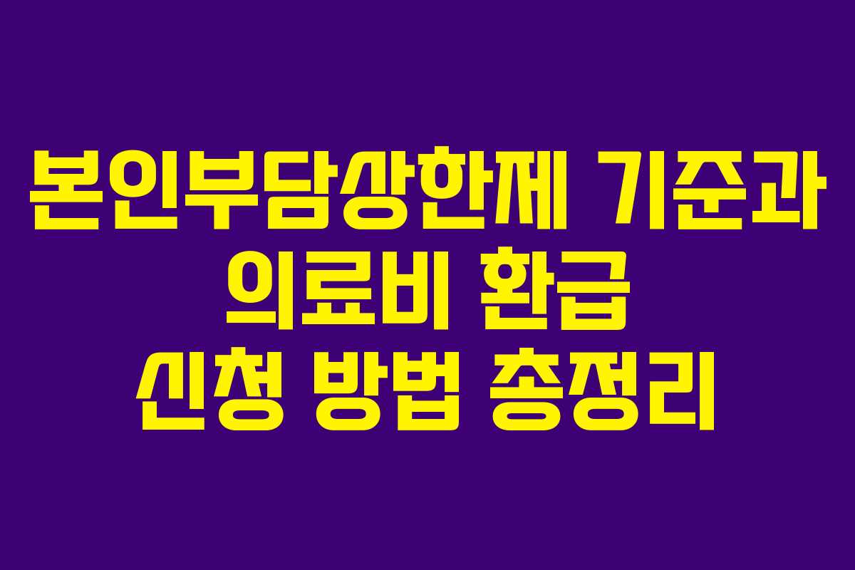 본인부담상한제 기준과 의료비 환급 신청 방법 총정리 본인부담상한제 기준과 의료비 환급 신청 방법 총정리