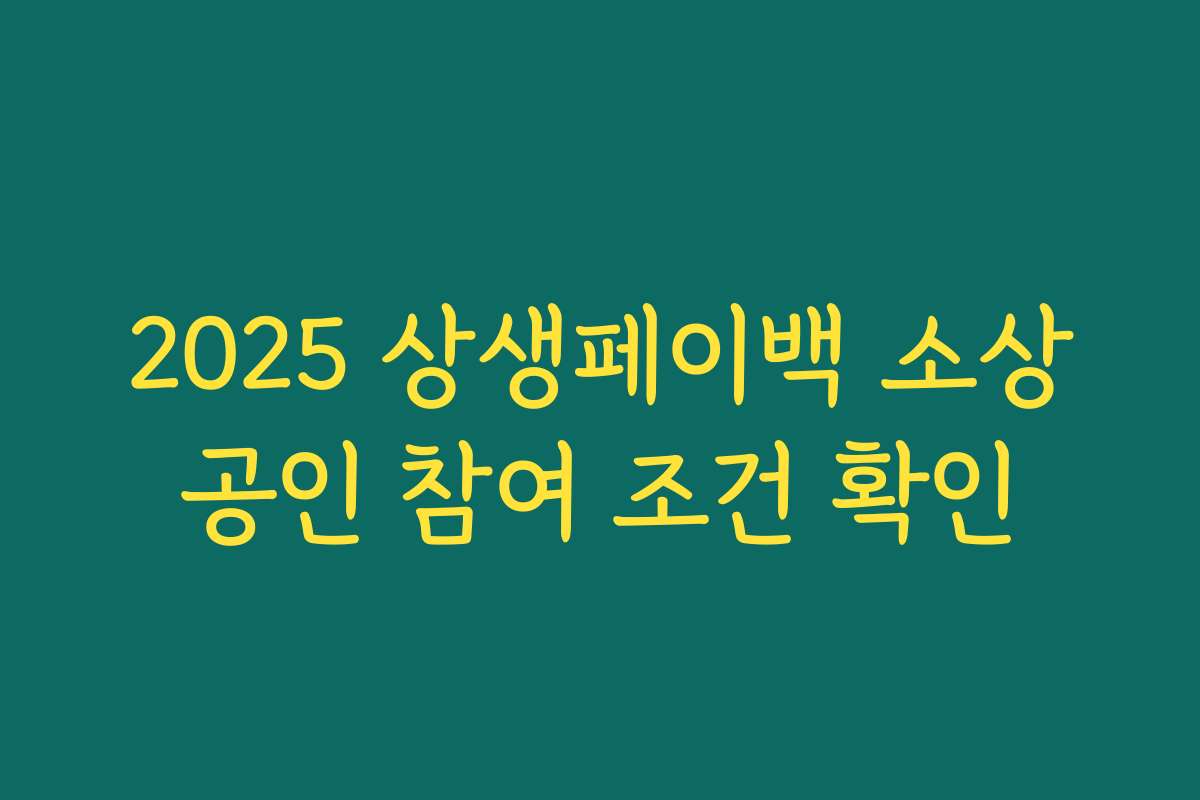 2025 상생페이백 소상공인 참여 조건 확인 2025 상생페이백 소상공인 참여 조건 확인