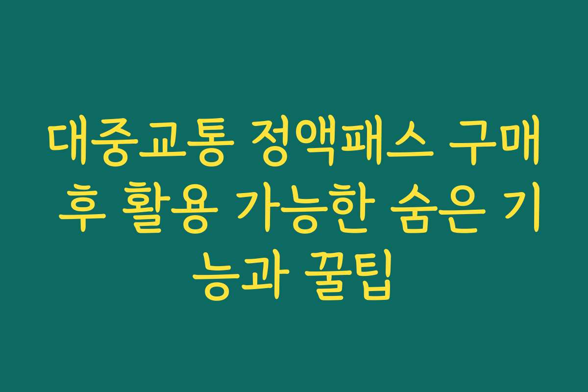 대중교통 정액패스 구매 후 활용 가능한 숨은 기능과 꿀팁