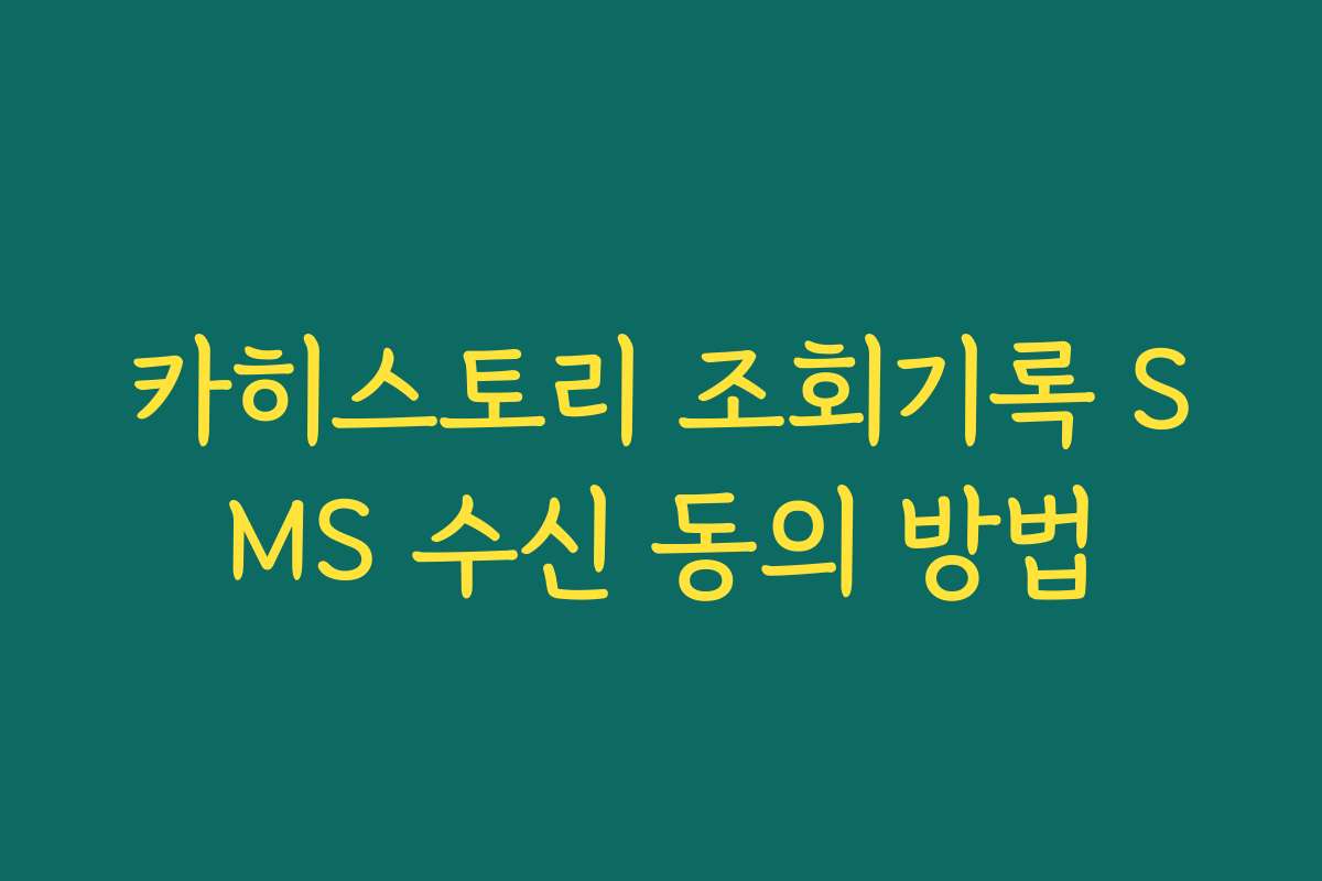 카히스토리 조회기록 SMS 수신 동의 방법 카히스토리 조회기록 SMS 수신 동의 방법
