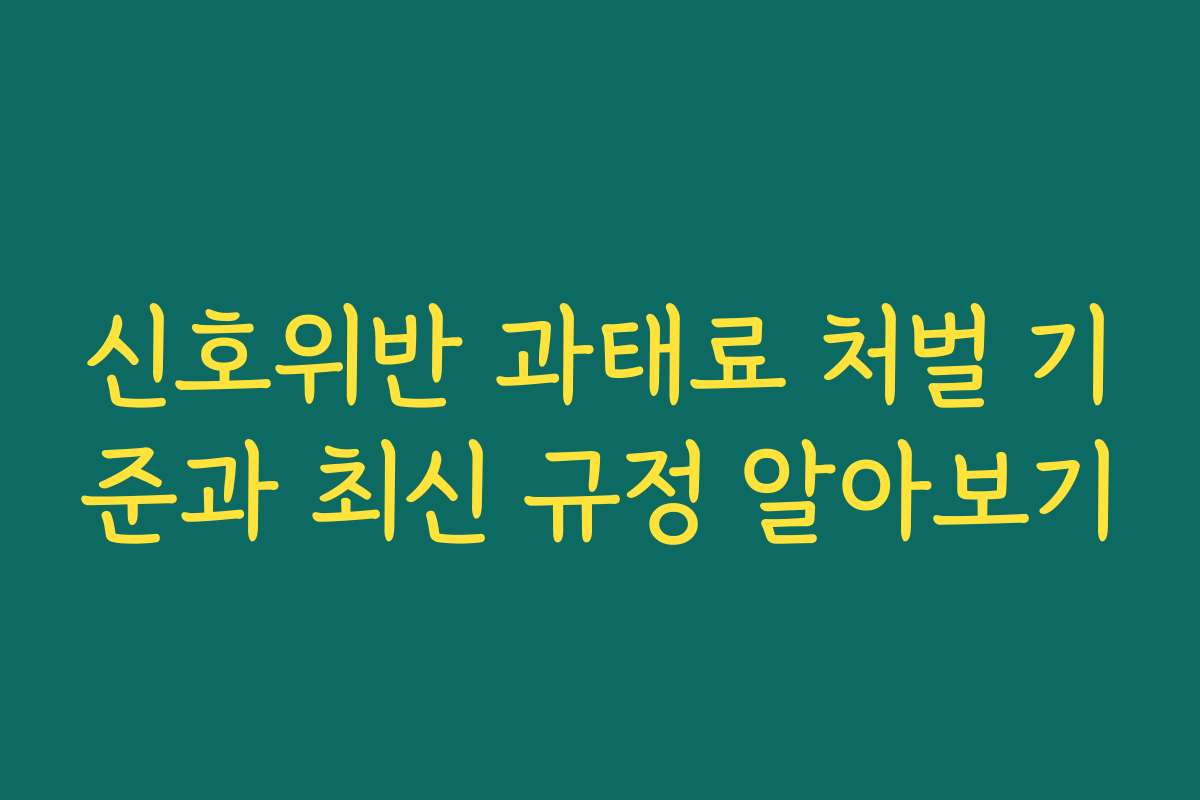 신호위반 과태료 처벌 기준과 최신 규정 알아보기