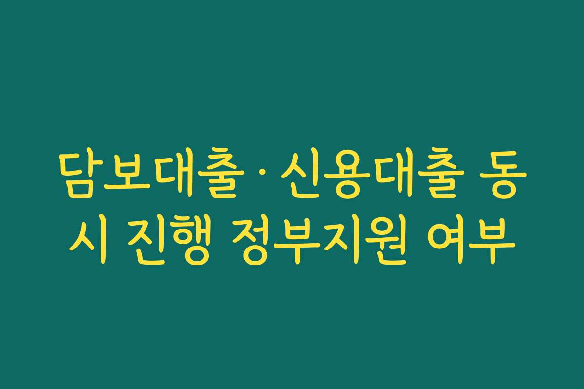 담보대출·신용대출 동시 진행 정부지원 여부