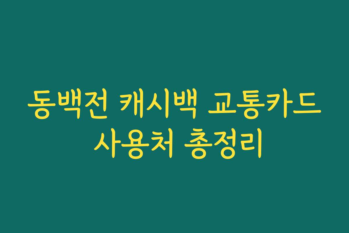 동백전 캐시백 교통카드 사용처 총정리