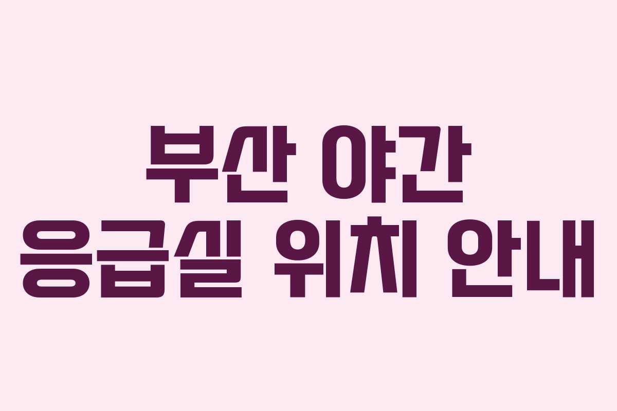 부산 야간 응급실 위치 안내 부산 야간 응급실 위치 안내