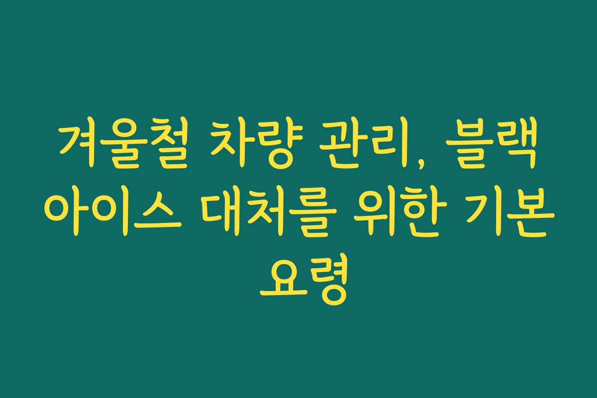 겨울철 차량 관리, 블랙아이스 대처를 위한 기본 요령