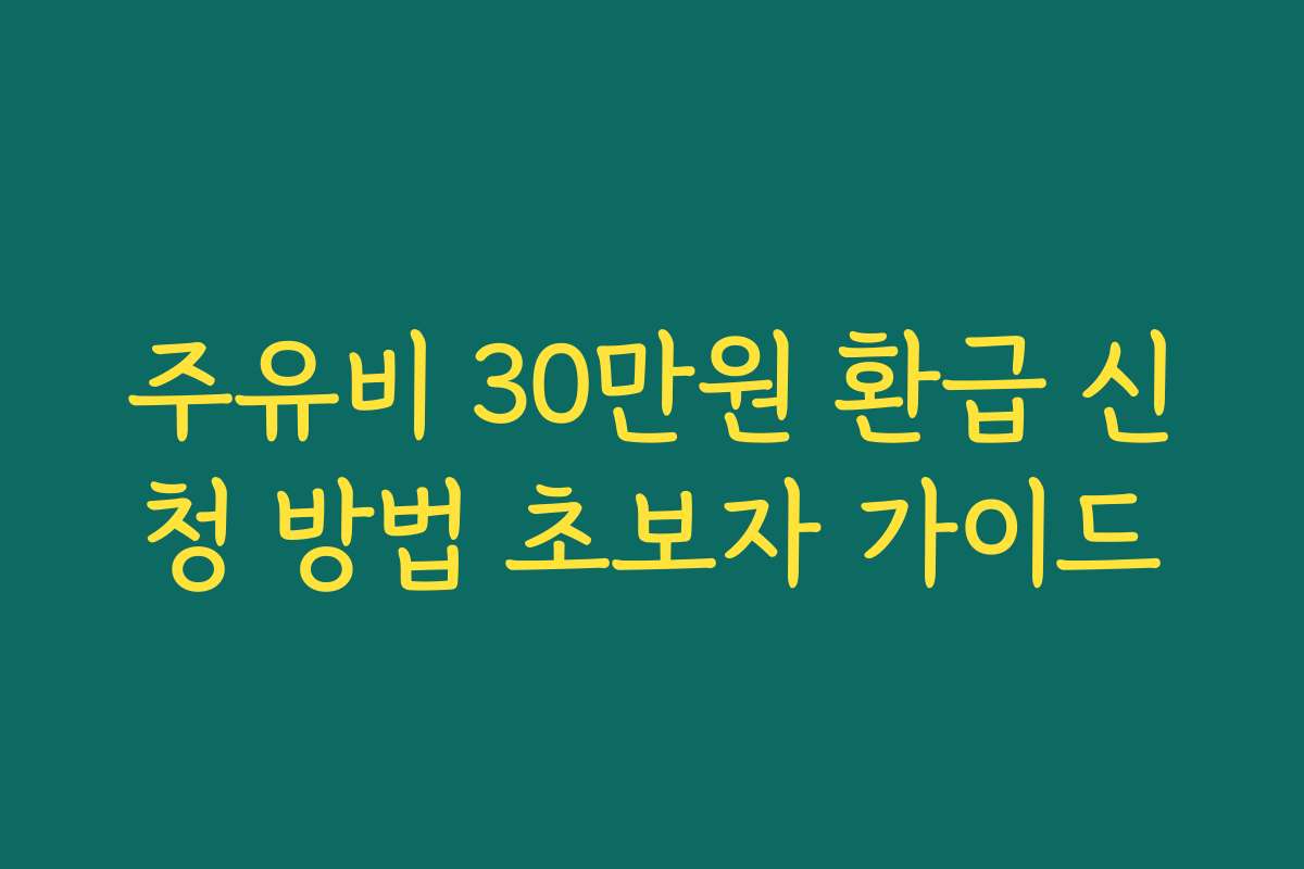 주유비 30만원 환급 신청 방법 초보자 가이드