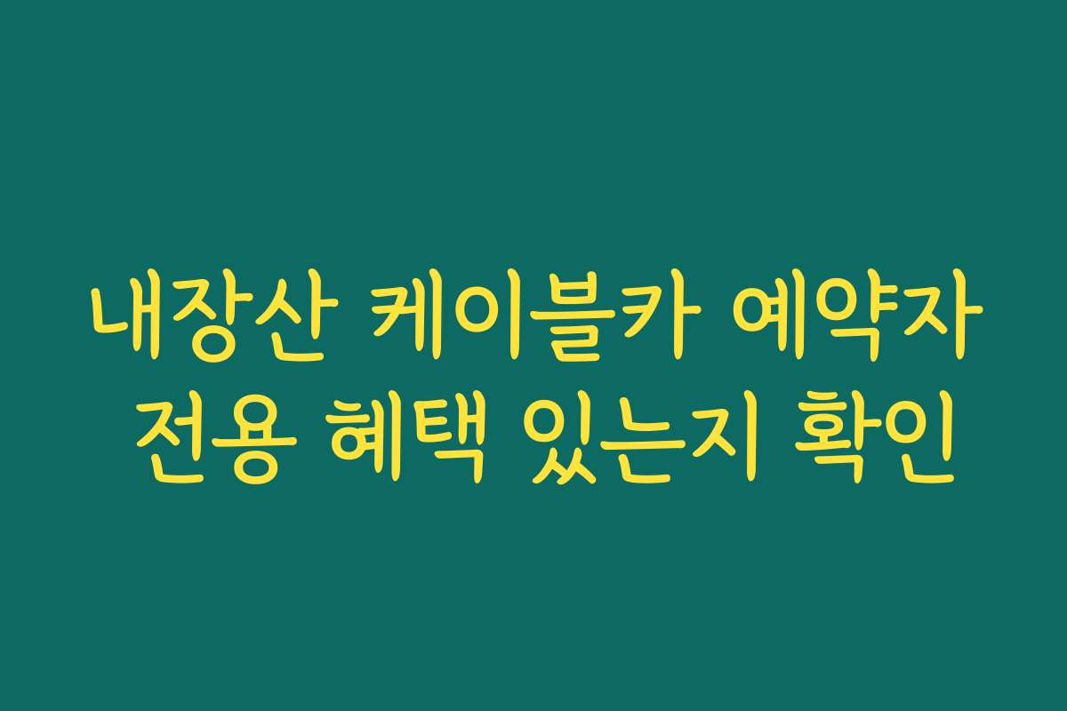 내장산 케이블카 예약자 전용 혜택 있는지 확인