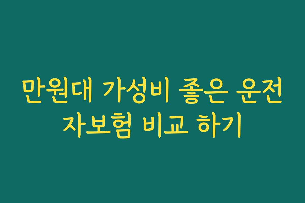 만원대 가성비 좋은 운전자보험 비교 하기