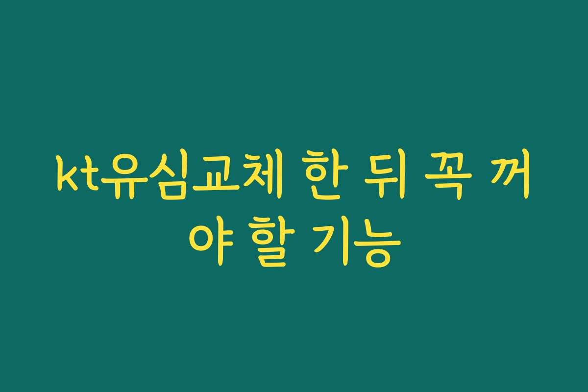 kt유심교체 한 뒤 꼭 꺼야 할 기능